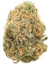 Cannabis Seeds With the Most Customer Reviews