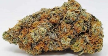cannabis seeds with the most customer reviews b