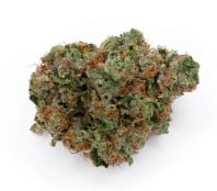 cannabis seeds with the most customer reviews e