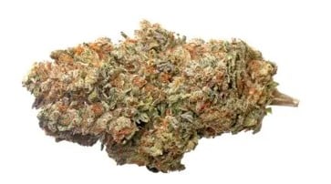 cannabis strains that help with anxiety and stress b