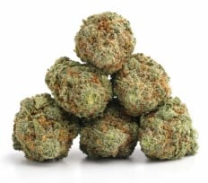 cannabis strains that help with anxiety and stress c