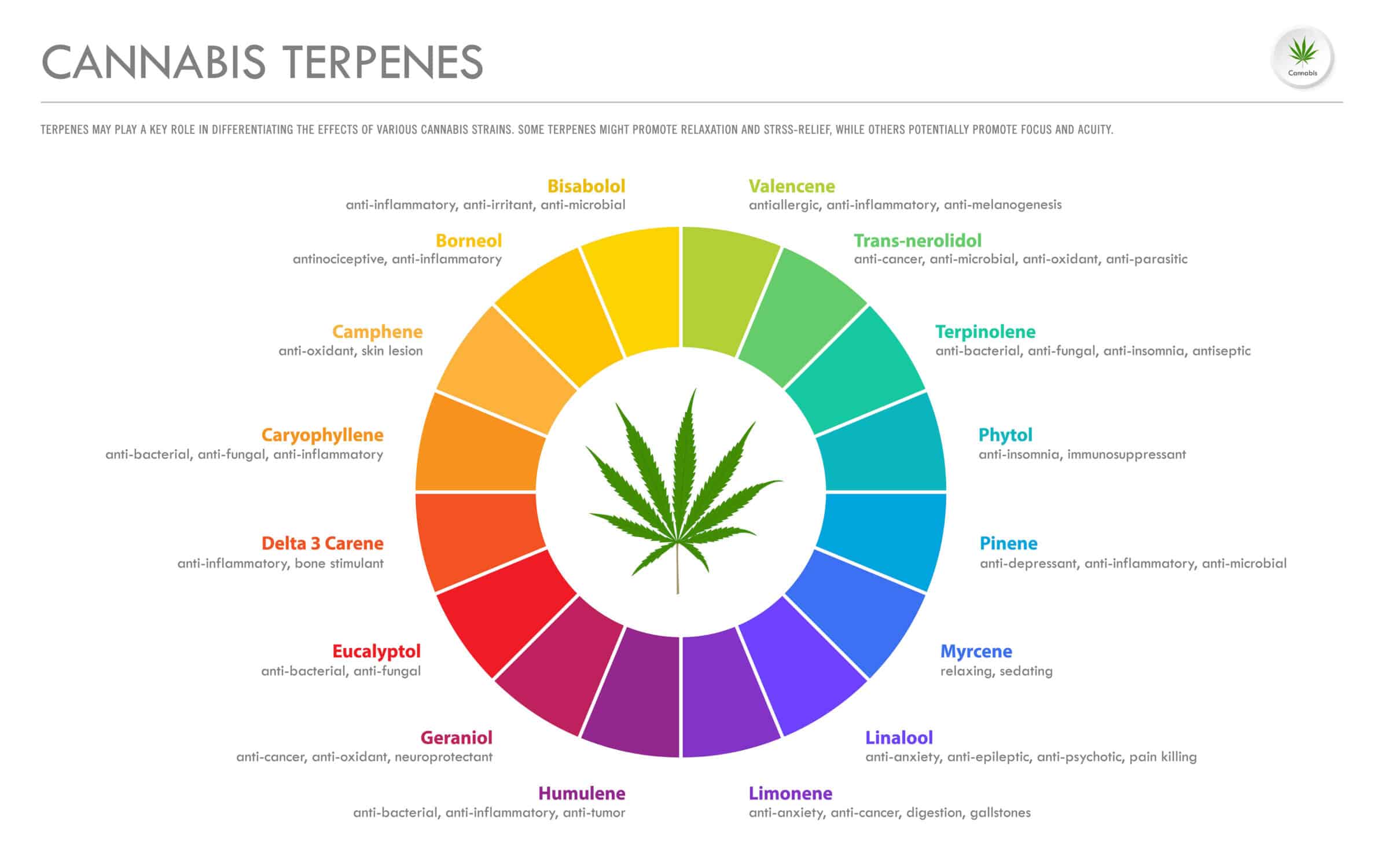 cannabis terpenes chart scaled 1