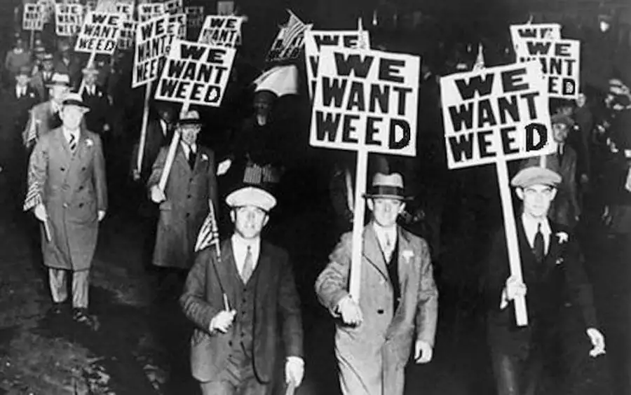 cannabisprohibition