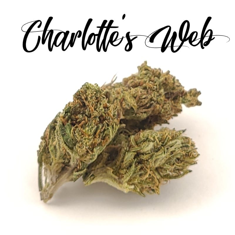 charlottes web hemp strain review