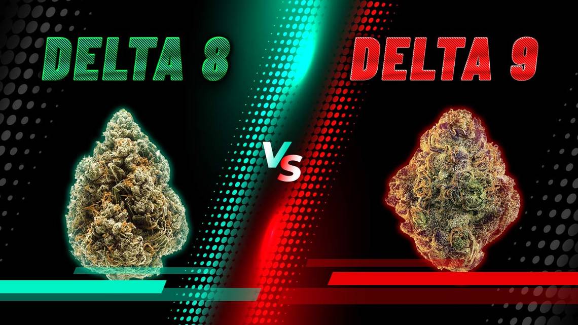 delta 8 vs delta 9