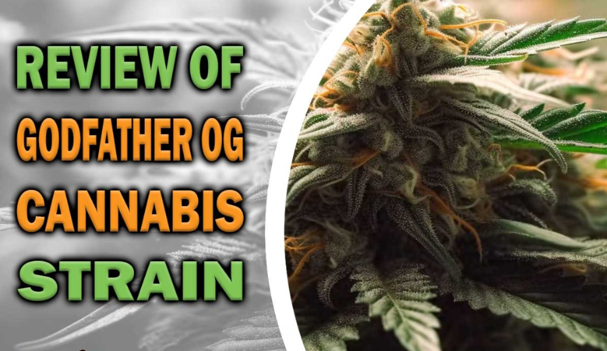 dmt9jccg