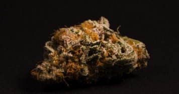 faygo red pop trichomes