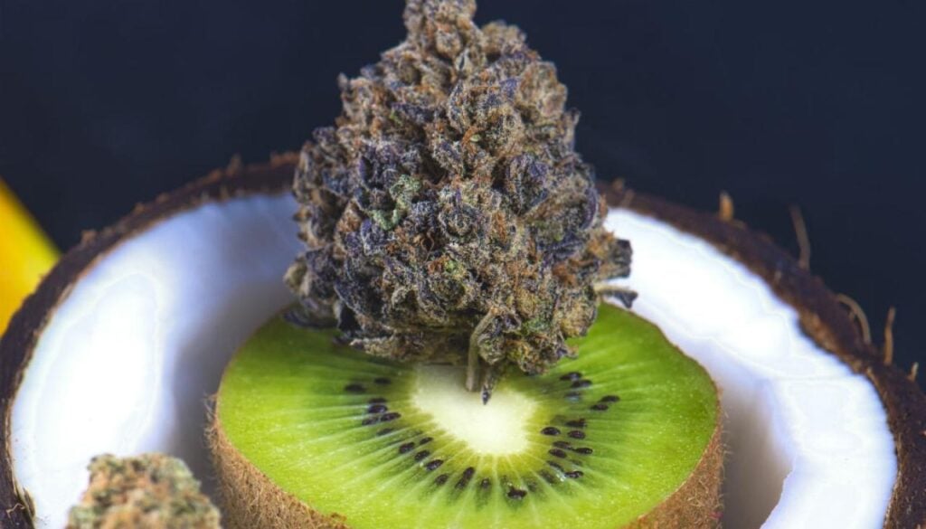funky monkey flavor