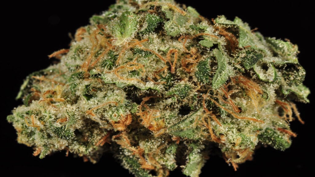 Hindu Kush