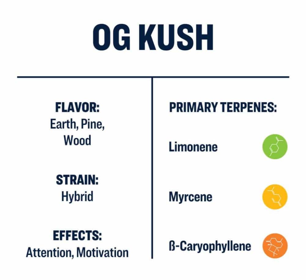 Chemical Profile of OG Kush
