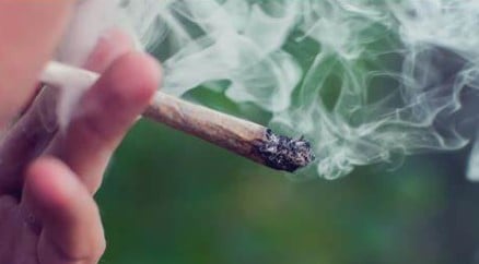 How long does marijuana stay in urine reddit