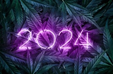 How many states is marijuanas legalized 2024