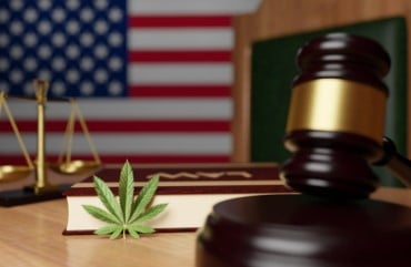 how many states is marijuanas legalized 2024 p
