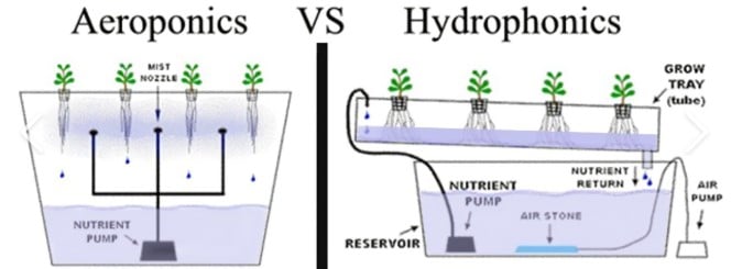 how to grow marijuana hydroponics
