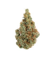 How to Read a Cannabis Seed Breeder Description