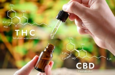 how to read a cannabis breeder description c