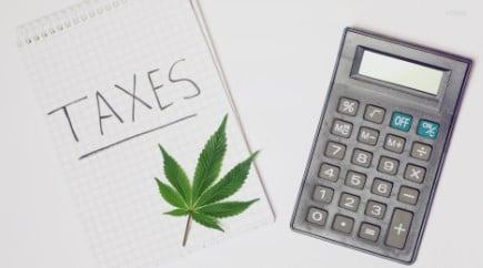 is marijuana legal in california 2024 d
