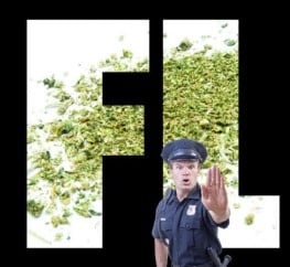 is marijuana legal in fl b