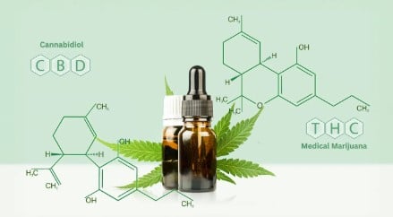 is marijuana legal in michigan 2024 c