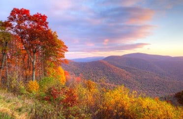 Is marijuanas legalized in VA