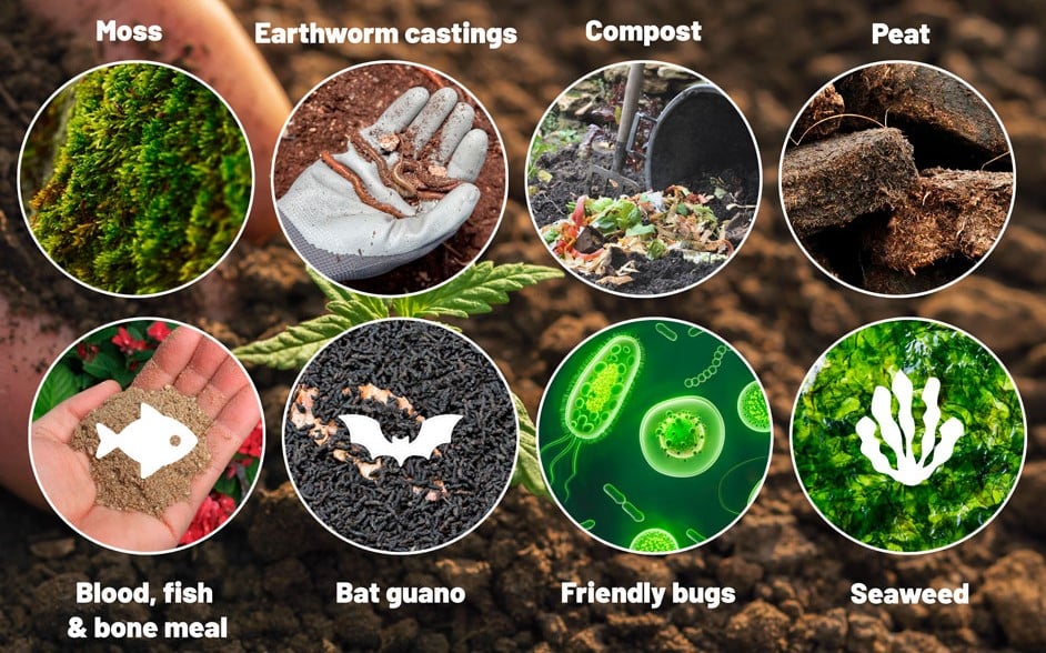 The Components of Living Soil