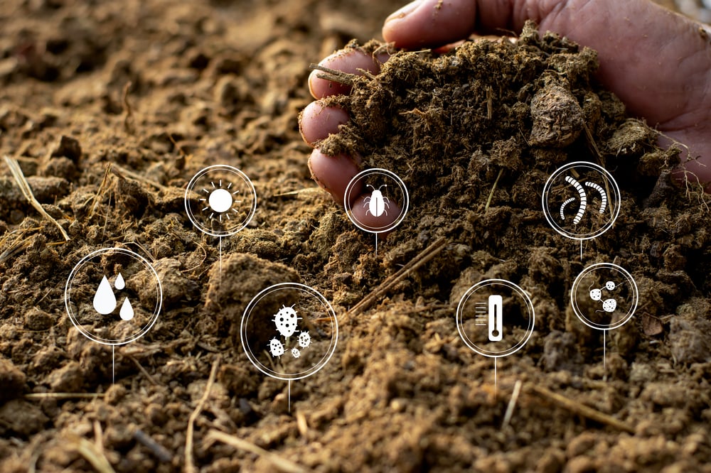 living soil5