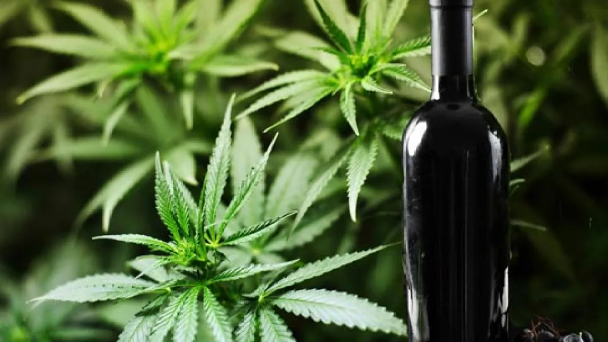 marijuana wine 1