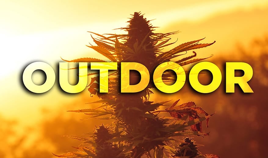 outdoor