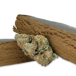 rare and exotic cannabis seeds youve never tried d