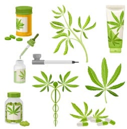 Raspberry Cough Kush - Strain Information – Royal King Seeds