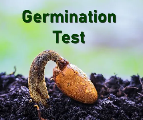 seed germination noat