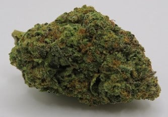 seeds that resist mold and mildew in wet areas d