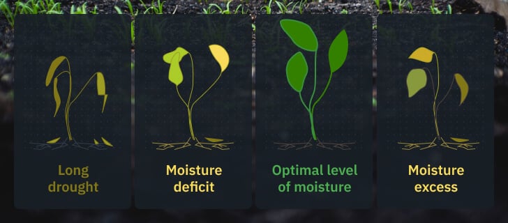 soil moisture stages