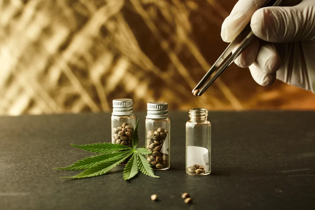 storing cannabis seeds scaled 1