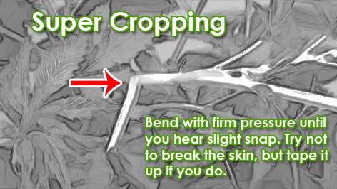 super crop diagram