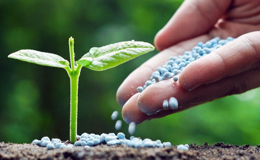 synthetic fertilizer organic livestock and crops