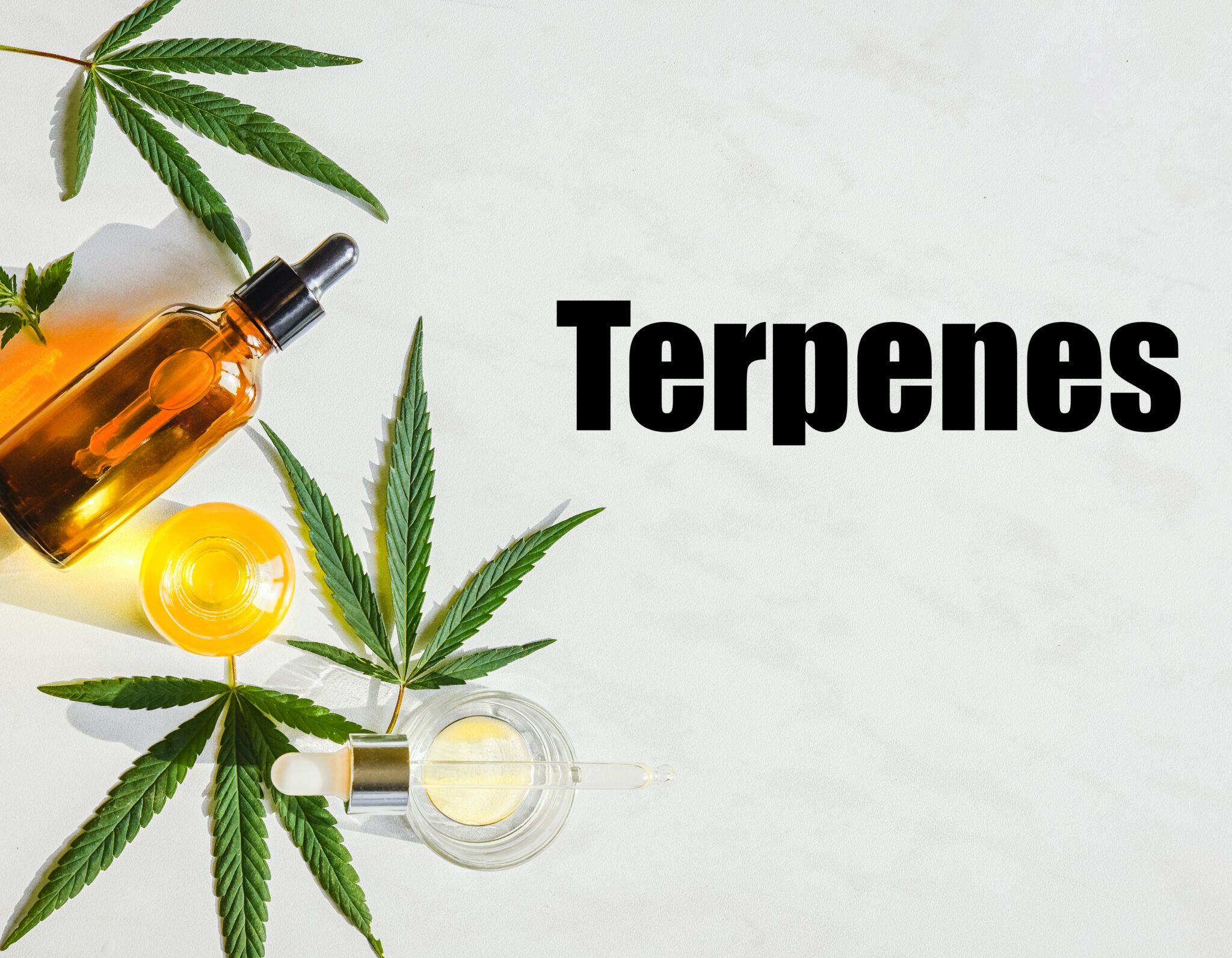 Terpenes and Their Role in Medical Cannabis