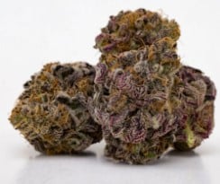 Top Cannabis Seeds for Nighttime Use