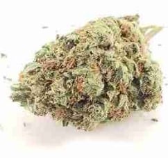 top cannabis seeds for nightime use c