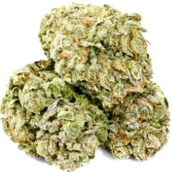 top cannabis seeds for nightime use d