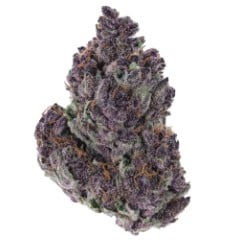 top cannabis seeds for pain relief and sleep c