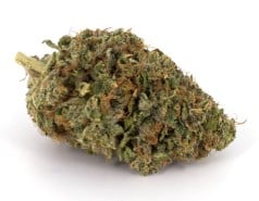 top cannabis seeds for pain relief and sleep j