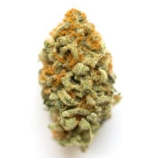 Top Strains for Rosin Pressing From Seed