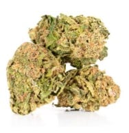 top strains for rosin pressing from seed e