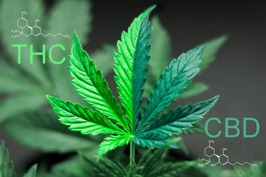 what qualifies cannabis be medicine