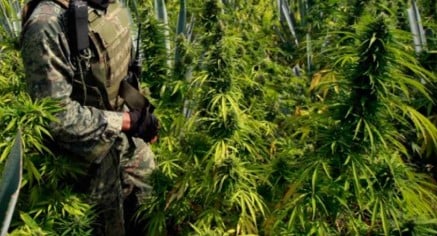 what states is marijuanas legal 2024 kk