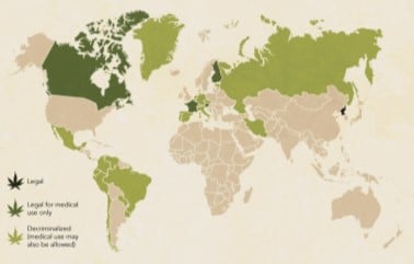 Where is marijuana legalized