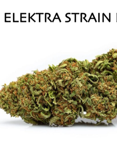 medical strains